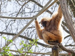 Tiergarten Schönbrunn am 23.03.2023